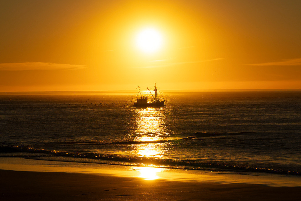 Goldene Stunde – Fischerboot vor Norderney | Ein Fischerboot kehrt im goldenen Licht der untergehenden Sonne zurück – eingefangen an einem warmen Spätsommerabend auf Norderney. Die Sonne taucht Himmel und Meer in leuchtendes Orange, während der Bootssilhouette eine fast magische Ruhe innewohnt. Ein Moment zwischen Alltag und Abendfrieden. - Realisiert mit Pictrs.com