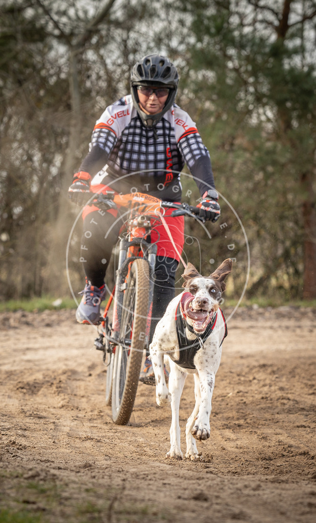 Pfotenfotografie_DV3A8888 | Hundefotografie, Tierfotograf, Pfotenfotografie, Fotoshooting Hund, Hunde Portrait, Hundesport, Hundeportraits, Heideshooting, Hunde, Sportfotograf, Hundefotograf, Turnierhundsport, THS,  - Realisiert mit Pictrs.com