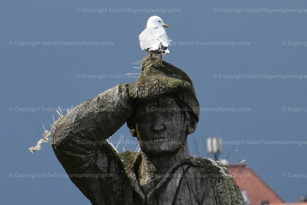 DSC_0072 (2) | Sportfotografie , Motorsport, Motoross, Reitsport, Mointainbike, Enduro,
Landschaft , Outdoor, Eventfotografie, Landschaft, Bilder online bestellen - Realisiert mit Pictrs.com