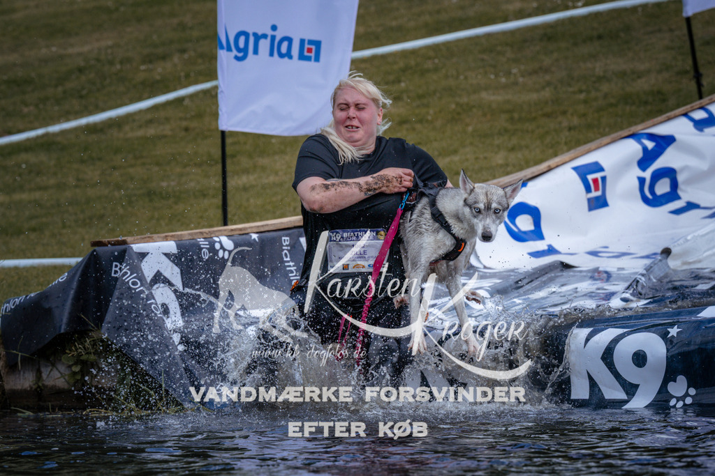 _ZZ911640912 | kk-dogfotos