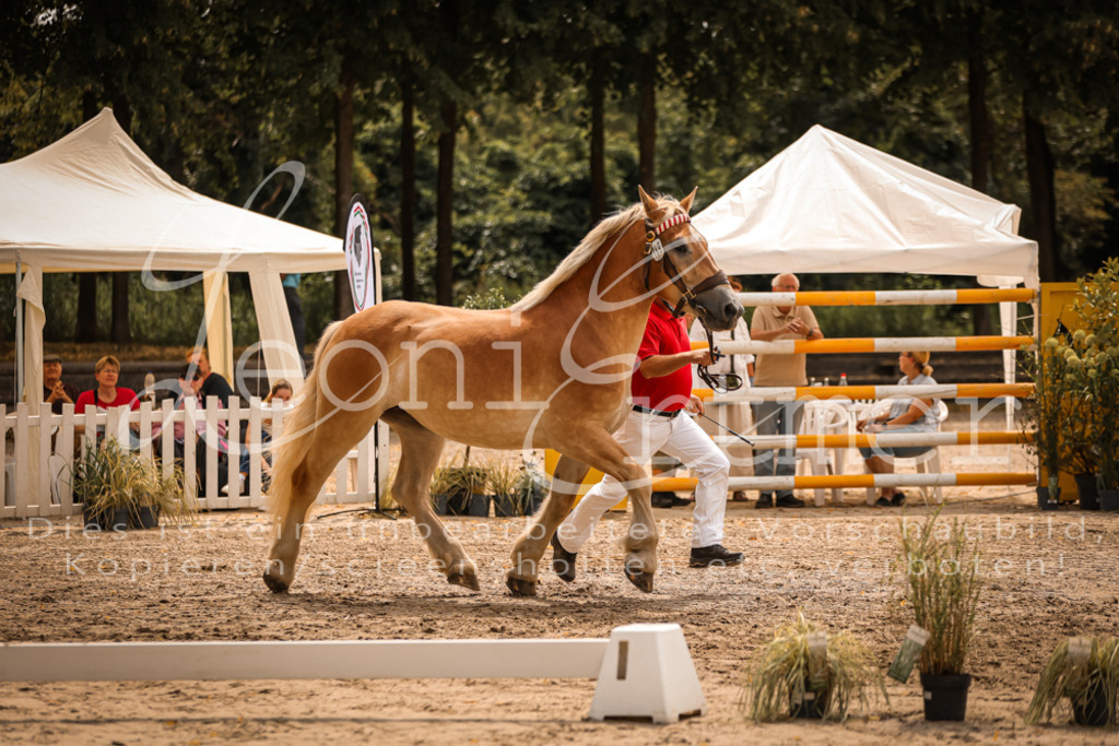 3.Sa00044 | Leoni Ertmer Photography - Realisiert mit Pictrs.com