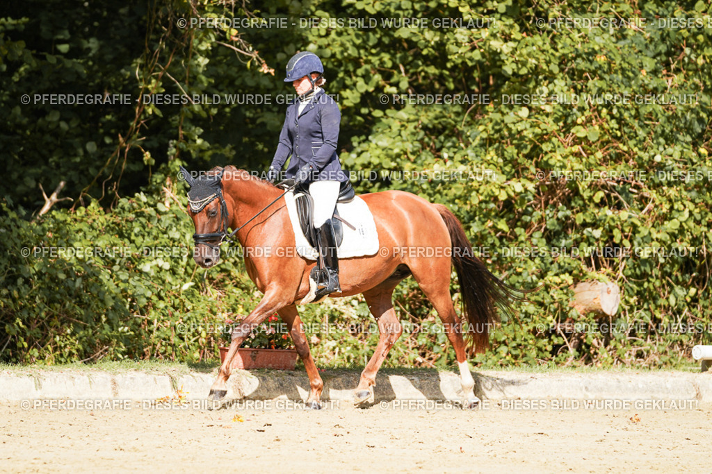 DSC02255 | Pferdegrafie