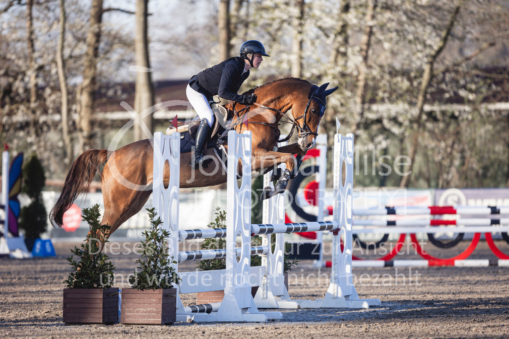 250408_Mühlen_SprPf-A1-133 | Deine schönsten Turniermomente als professionelle Fotos! Entdecke hochwertige Pferdesport-Fotografie im Online-Shop. Jetzt Fotos finden & bestellen!