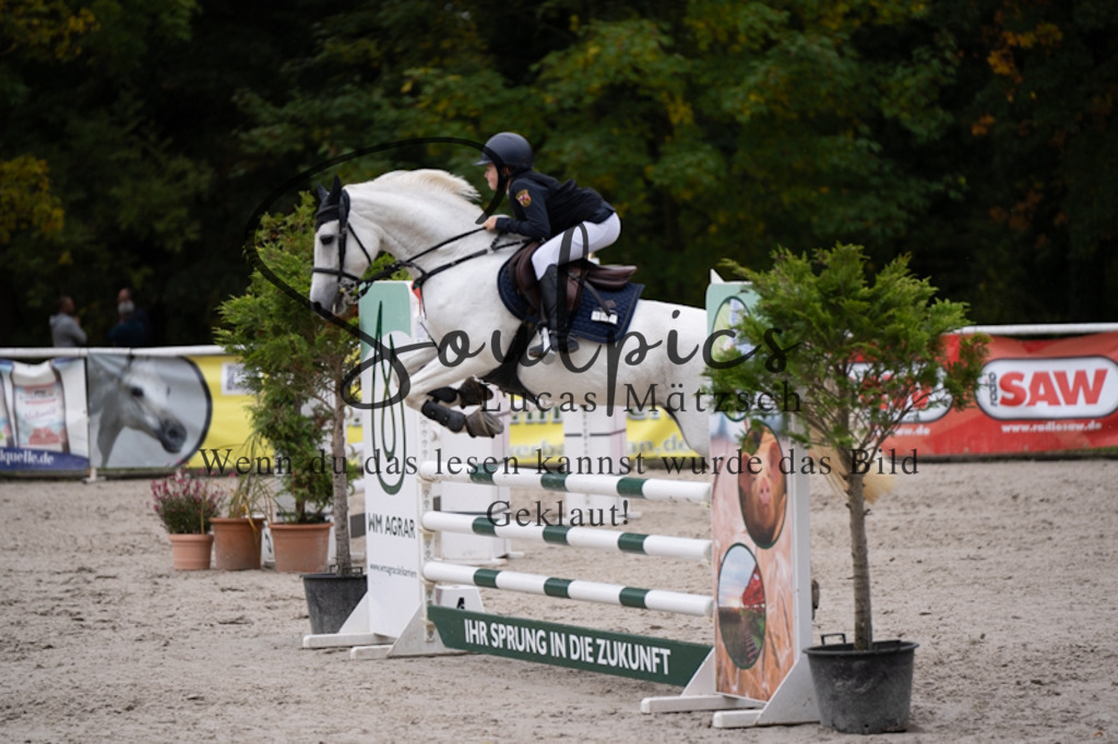 A7V00663 | Pferdefotograf