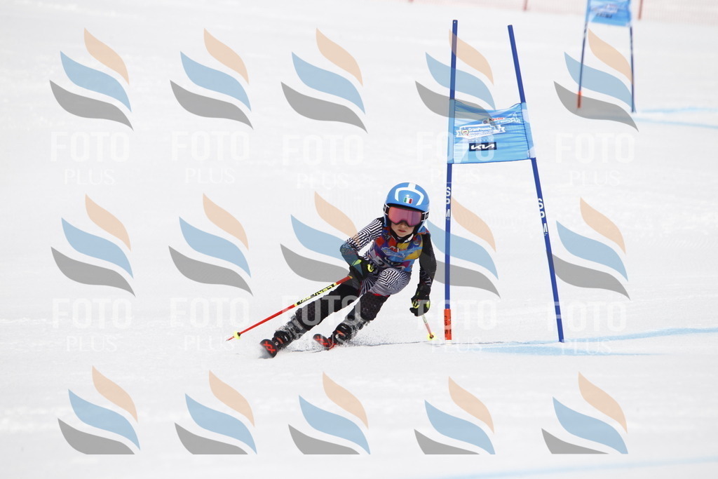 _U3G6192 | holidayphoto