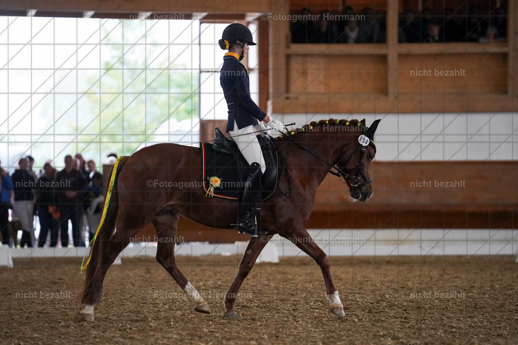 20240825-FAH08938 | Turnierbilder, Reitsportfotos, LAPO, Landesponyturnier, Turnierfotografen Bayern
