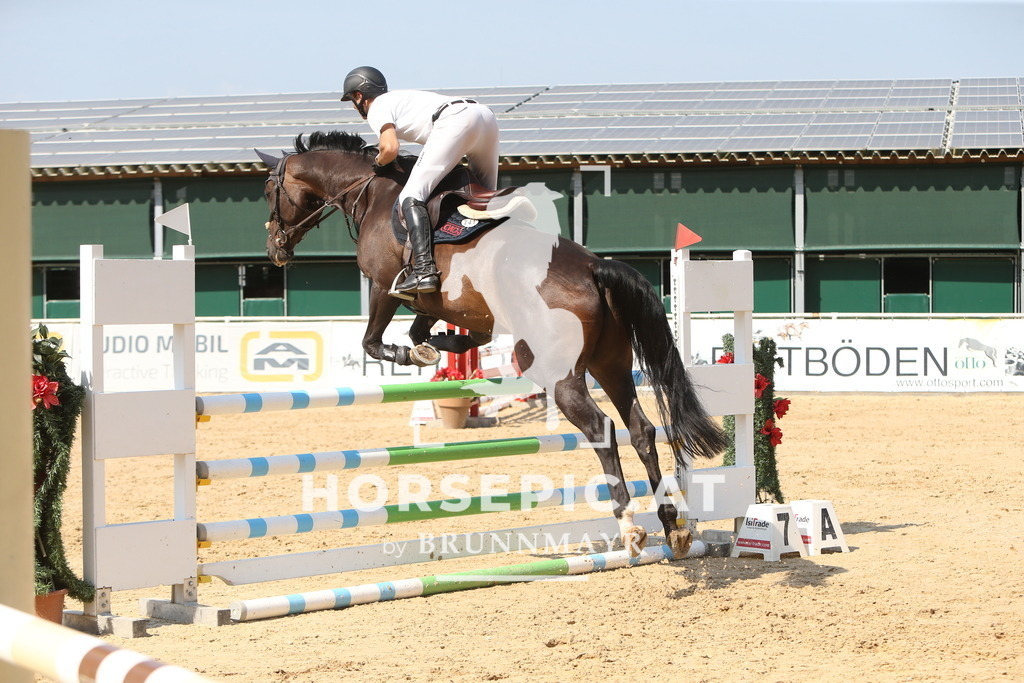 DL2Q1741 | Willkommen bei Brunnmayr - Design & Fotografie – Ihrem Spezialisten für Reitturniere und Pferdeveranstaltungen in Oberösterreich, Salzburg und Bayern! Seit über 17 Jahren sind wir leidenschaftlich dabei.
