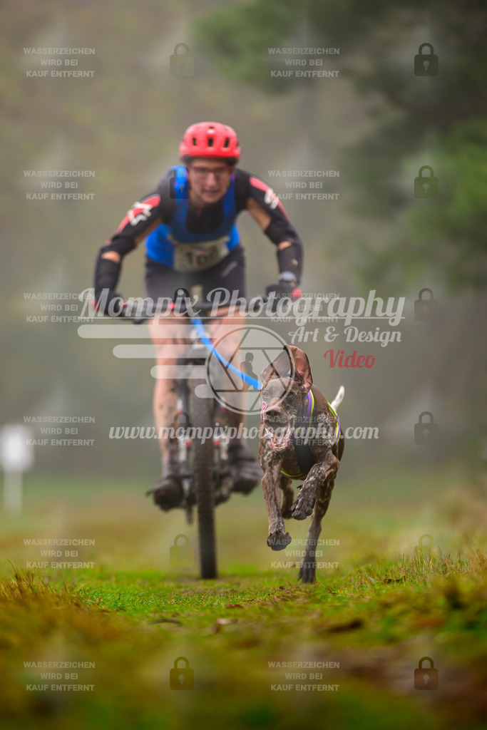 MompixPhotography_Bischwiller2025_Bike-7 | mompixphotography