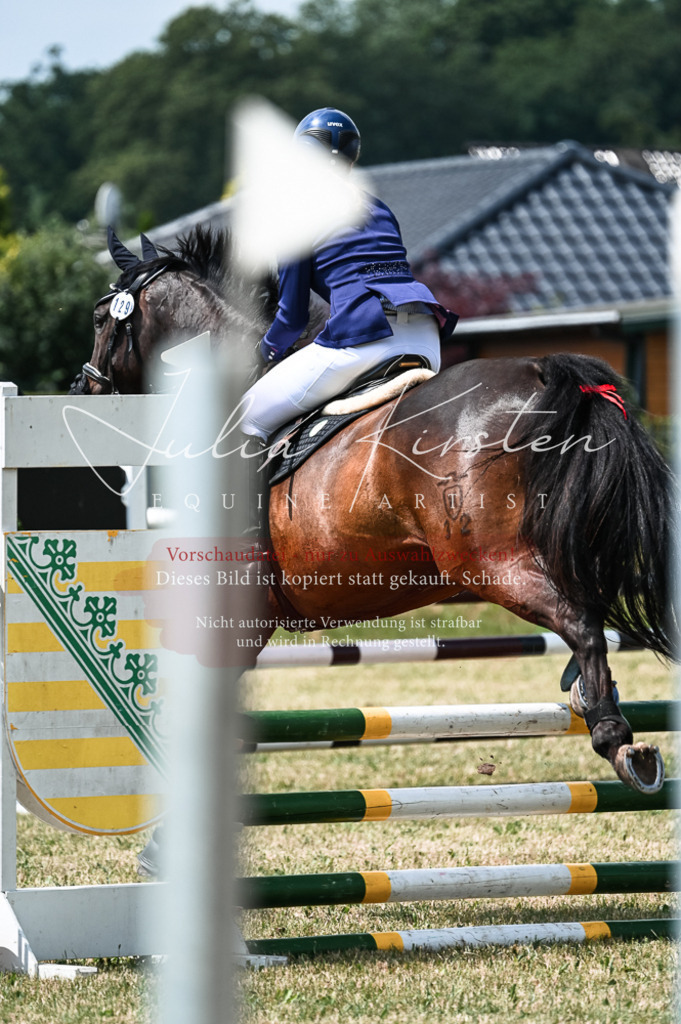 DSC_9213 | Pferde- und Turnierfotografie in Westsachsen. Pferdeportraits, Auftragszeichnungen und intuitive Kunst.