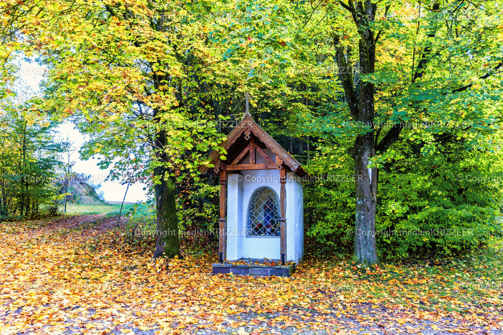 _J3A8718 | medienkrizzler - Realisiert mit Pictrs.com