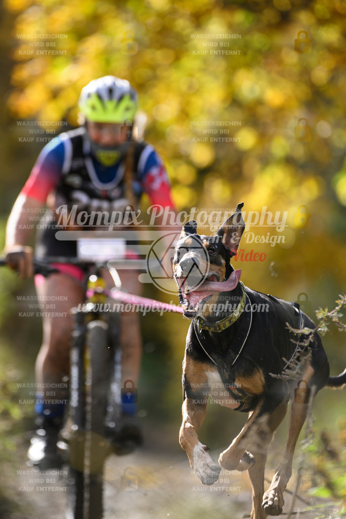 MompixPhotography_ICF_WC_2024_SA_Bike_-338 | PayLife