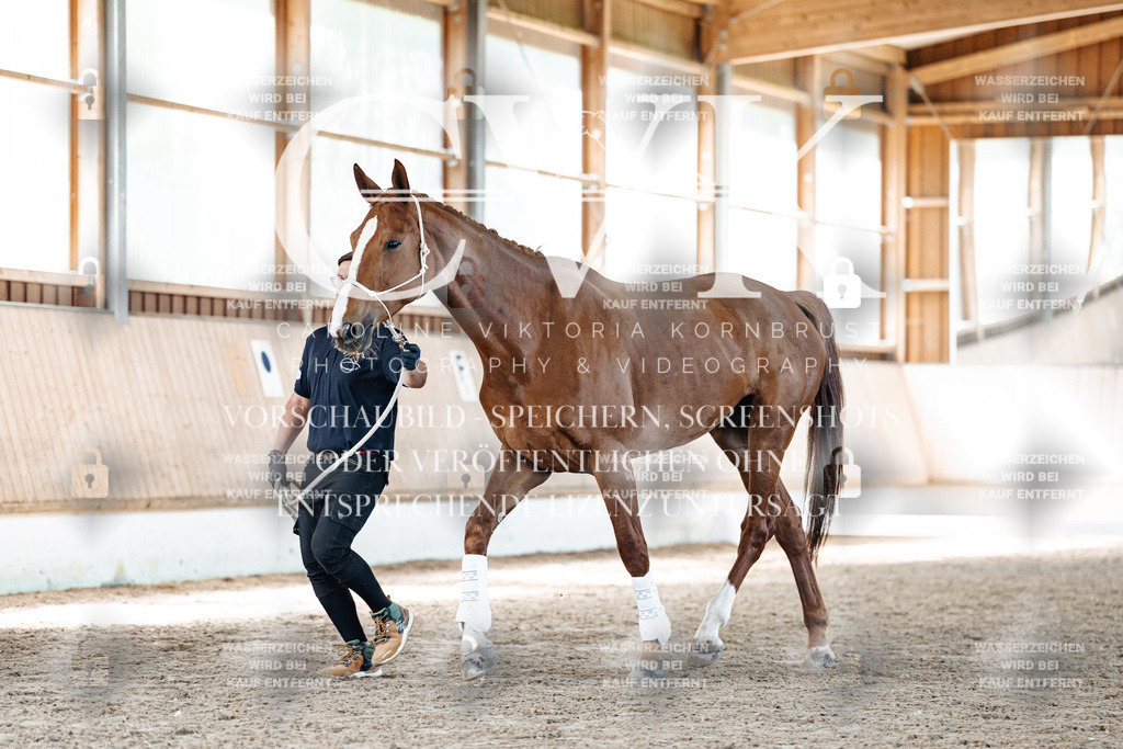 CK906647 | Turnierfotografie Pferdefotografie Trier Rheinland-Pfalz Pferdesport Reitsport Tierfotografie Sportfotografie Pferdevideo Pferdevideografie Equestrianvideography equestrianphotography  - Realisiert mit Pictrs.com