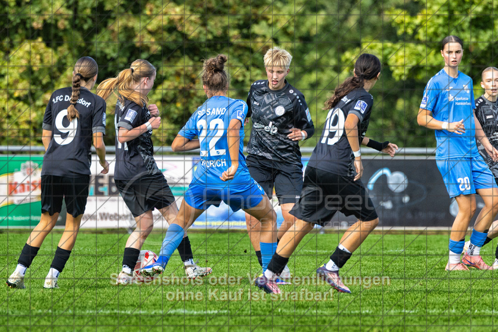 20261010_142817_0816-Bearbeitet_(c)_by_PhotoPeet | 3