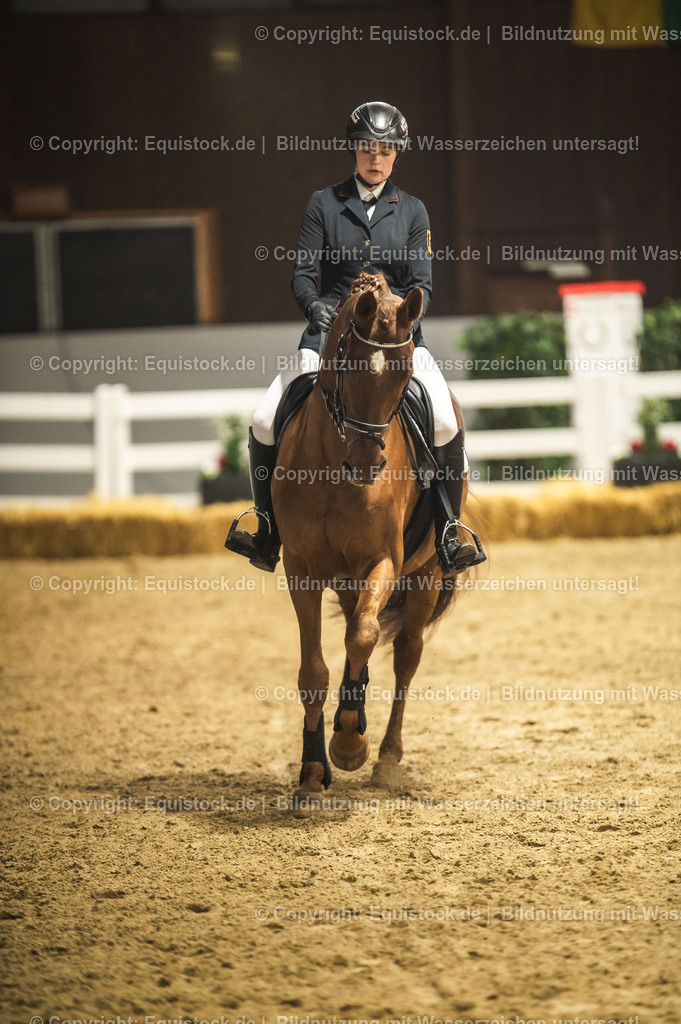 20240302_Hengstvorstellung_Marbach_TOMsPiC_1345 | equistock