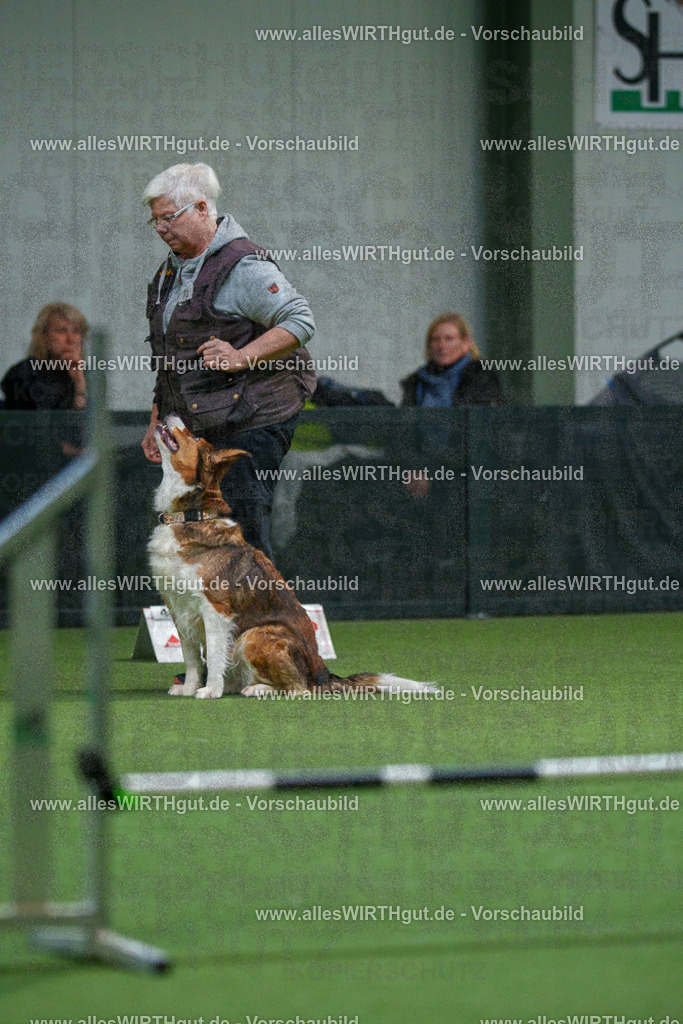 7R504059 | Professionelle Tierfotografie in Mönchengladbach von Daniel Wirth (allesWIRTHgut). Liebevolle & natürliche Bilder von Hunden & Katzen für unvergessliche Erinnerungen.