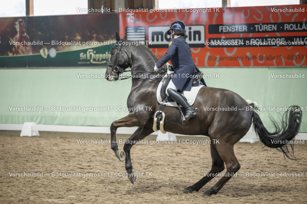 _D5A6852 | Emotionale Pferde- & People-Fotografie rund um Heidelberg, Leimen & Umgebung. Natürliche Fotos von Pferd, Mensch & Familie. Jetzt Termin sichern!