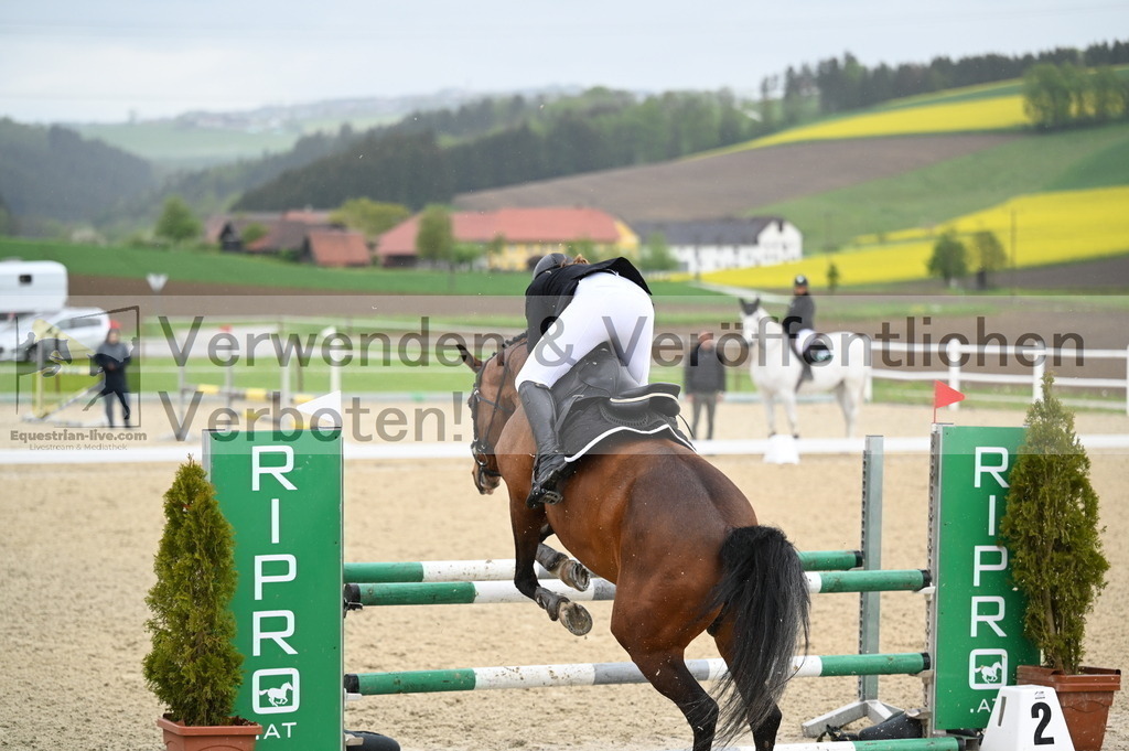 DSC_0034 | equestrian-live-com