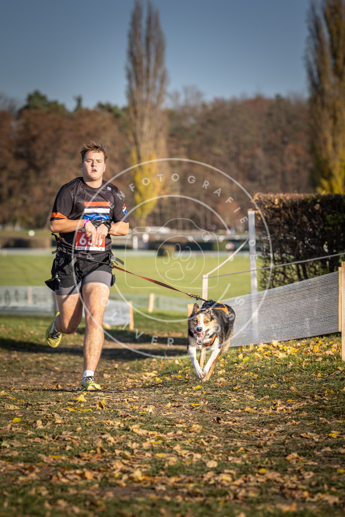 CaniXpix_DV3A0507 | Hundefotografie, Tierfotograf, Pfotenfotografie, Fotoshooting Hund, Hunde Portrait, Hundesport, Hundeportraits, Heideshooting, Hunde, Sportfotograf, Hundefotograf, Turnierhundsport, THS,  - Realisiert mit Pictrs.com