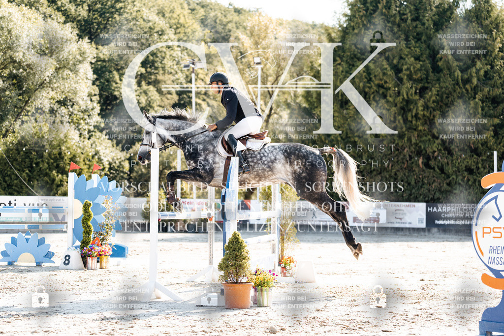 CK902117 | Turnierfotografie Pferdefotografie Trier Rheinland-Pfalz Pferdesport Reitsport Tierfotografie Sportfotografie Pferdevideo Pferdevideografie Equestrianvideography equestrianphotography  - Realisiert mit Pictrs.com
