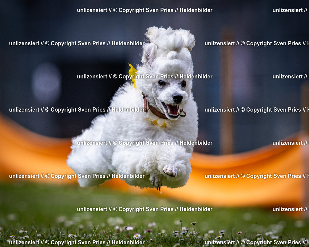 Sven Pries | 2025-05-29 - Pudelrennen KA-Durlach - Realisiert mit Pictrs.com