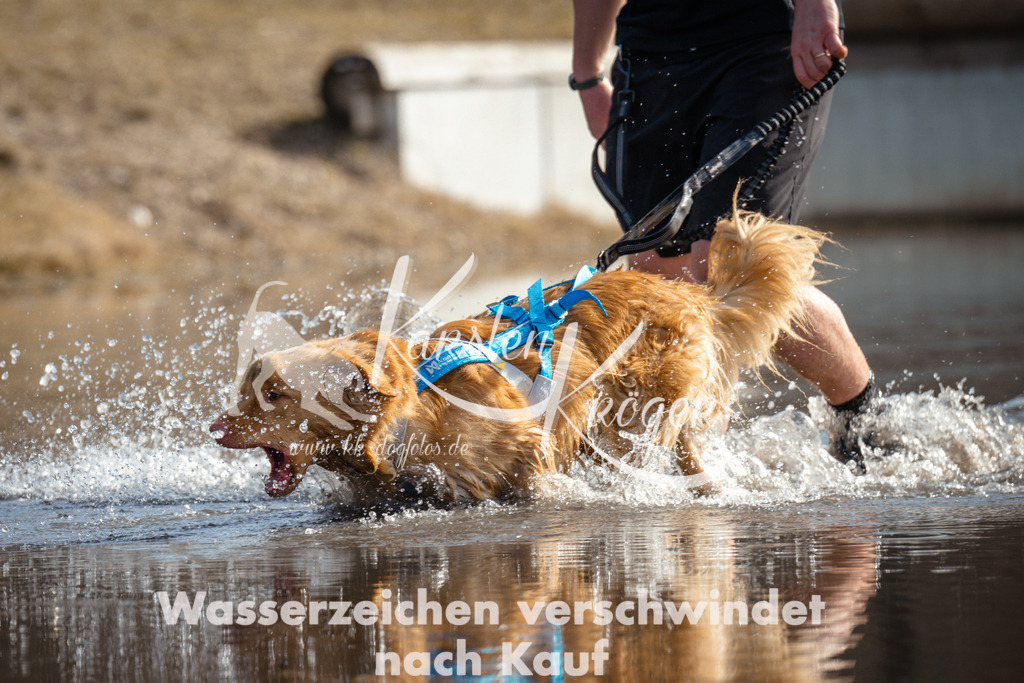 1124_ZZ94118 | kk-dogfotos