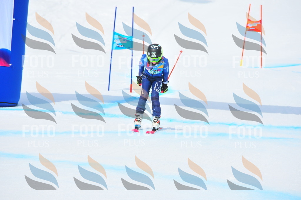 DSC_2509 | holidayphoto