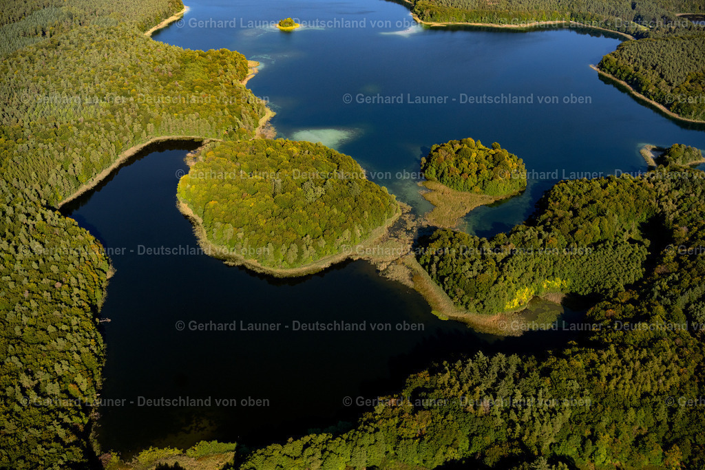 4062361 | HEIMLAND 08.09.2021 Waldgebiete am Ufer des See Großer Wummesee in Heimland im Bundesland Brandenburg. // Forests on the shores of Lake Grosser Wummesee in Heimland in the state Brandenburg. Foto: Gerhard Launer