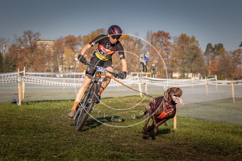 CaniXpix_0L8A4437 | Hundefotografie, Tierfotograf, Pfotenfotografie, Fotoshooting Hund, Hunde Portrait, Hundesport, Hundeportraits, Heideshooting, Hunde, Sportfotograf, Hundefotograf, Turnierhundsport, THS,  - Realisiert mit Pictrs.com