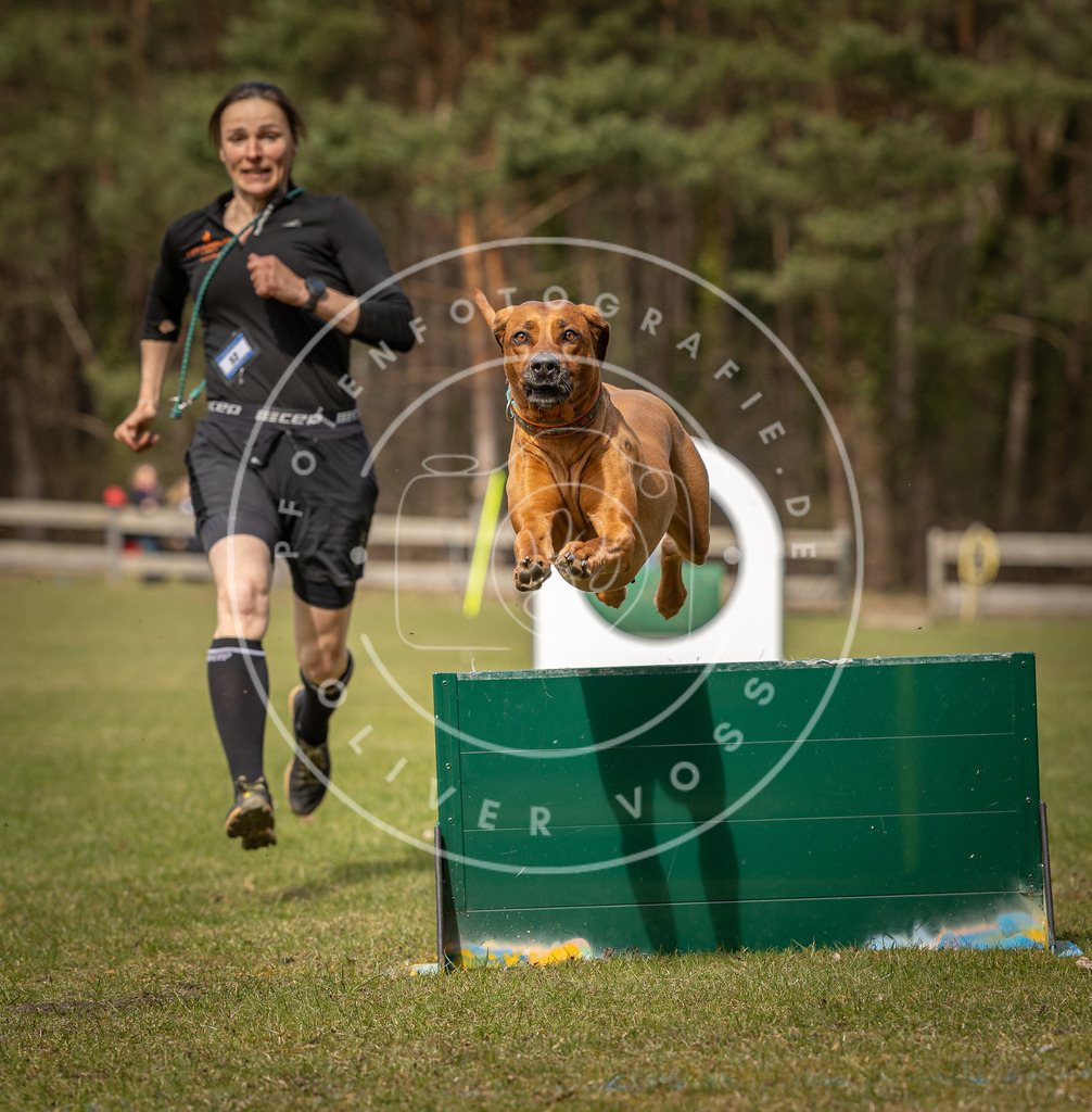 Pfotenfotografie_DV3A8277 | Hundefotografie, Tierfotograf, Pfotenfotografie, Fotoshooting Hund, Hunde Portrait, Hundesport, Hundeportraits, Heideshooting, Hunde, Sportfotograf, Hundefotograf, Turnierhundsport, THS,  - Realisiert mit Pictrs.com