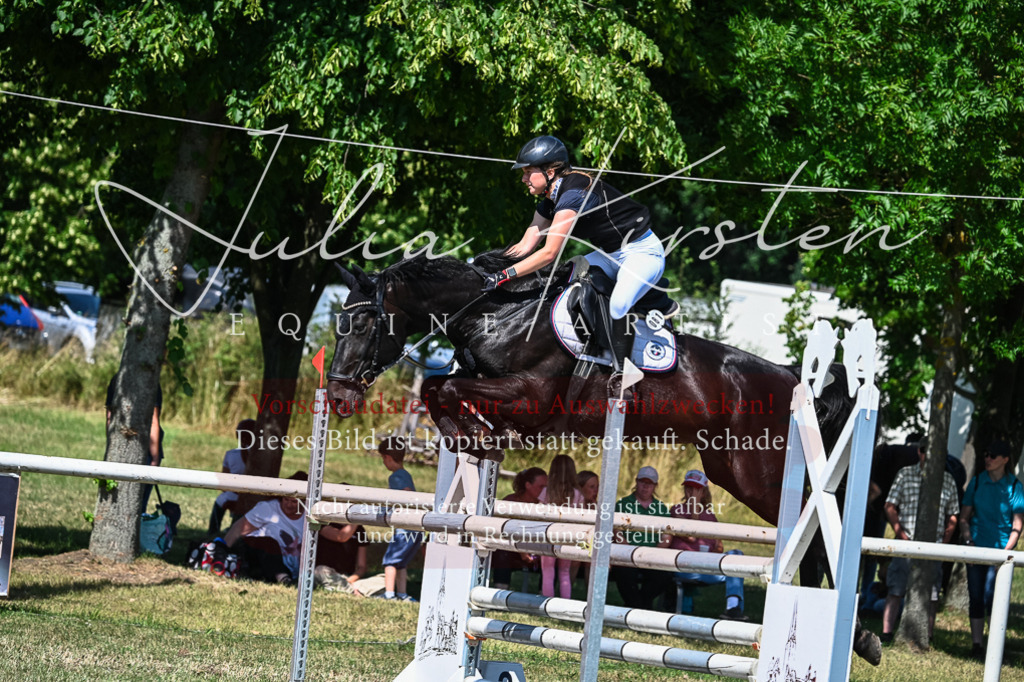 DSC_1330 | Pferde- und Turnierfotografie in Westsachsen. Pferdeportraits, Auftragszeichnungen und intuitive Kunst.