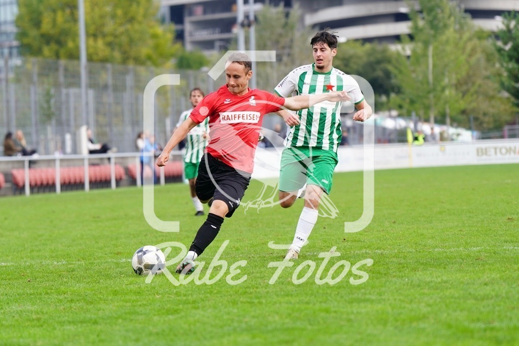 SON04788 | rabefotos
