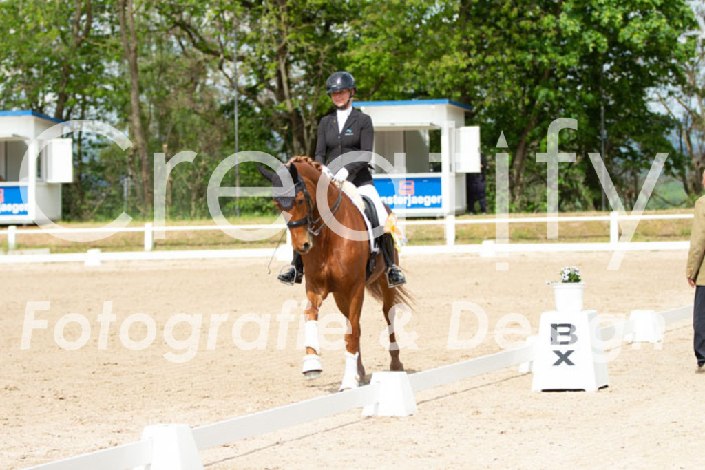 IMG_7043 | Creatify Fotografie