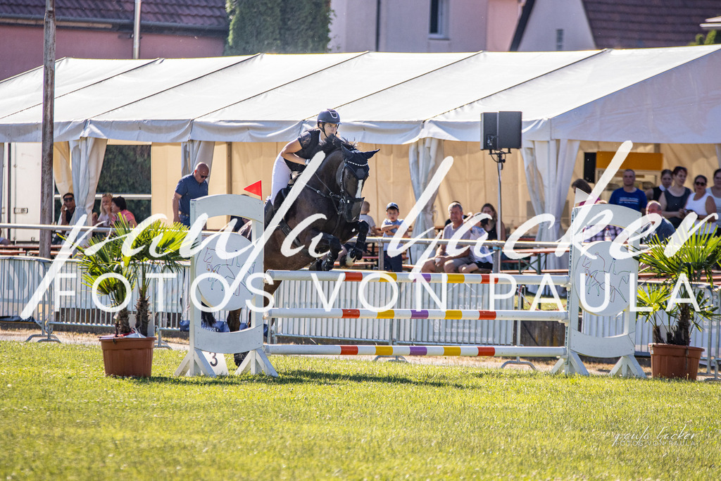 IMG_0068 | Erleben Sie dynamische Sport- und emotionale Tierfotografie in Süddeutschland mit Fotos von Paula. Spezialisiert auf Pferde- und Hundefotografie sowie Sportevents. Kontaktieren Sie mich für einzigartige und ausdrucksstarke Bilder Ihrer besonderen Momente. - Realisiert mit Pictrs.com
