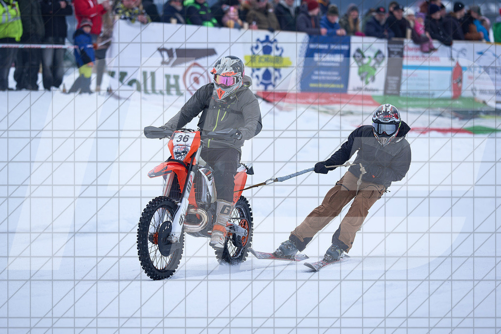 11. Holzknecht Skijöring | Skijöring am 24.01.2026: 11. Holzknecht Skijöring in Gosau am Dachstein, Oberösterreich, ÖsterreichFoto: © 2026 Martin Bihounek | mb-creative.eu