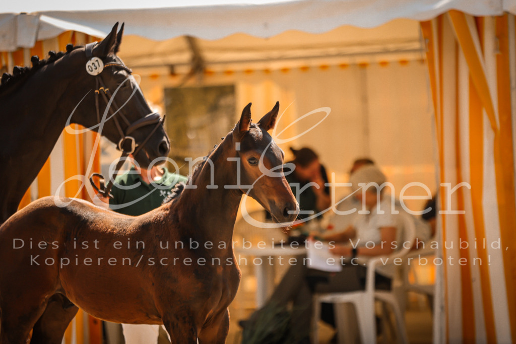 07.DoWBS00044 | Leoni Ertmer Photography - Realisiert mit Pictrs.com