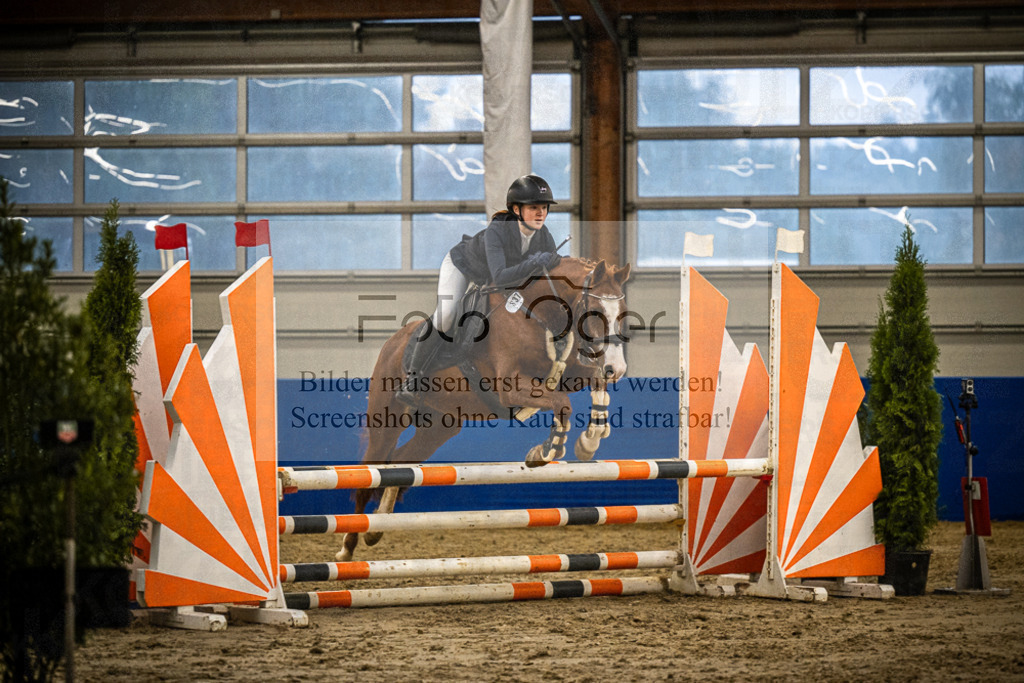DOS_1148 | Entdecke hochwertige Reitturnierfotos von Foto Oger. Professionell, emotional und authentisch – jetzt Lieblingsmomente im Shop bestellen.Deutschlandweite Turnierfotografie. - Realisiert mit Pictrs.com
