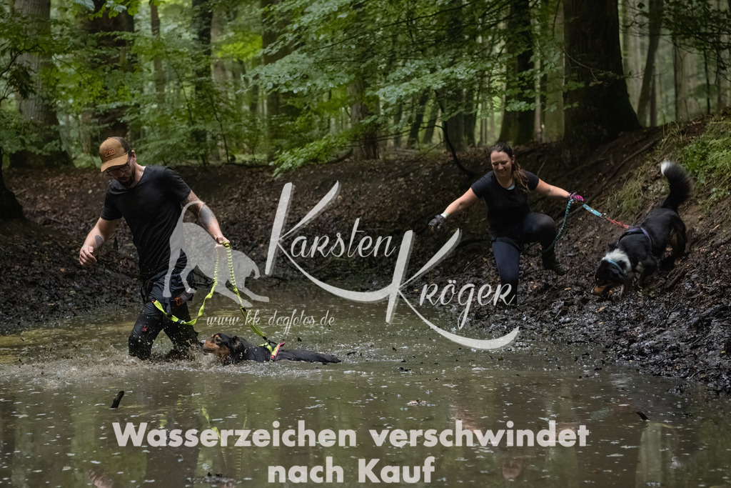 0934_ZZ90767-Bearbeitet | kk-dogfotos