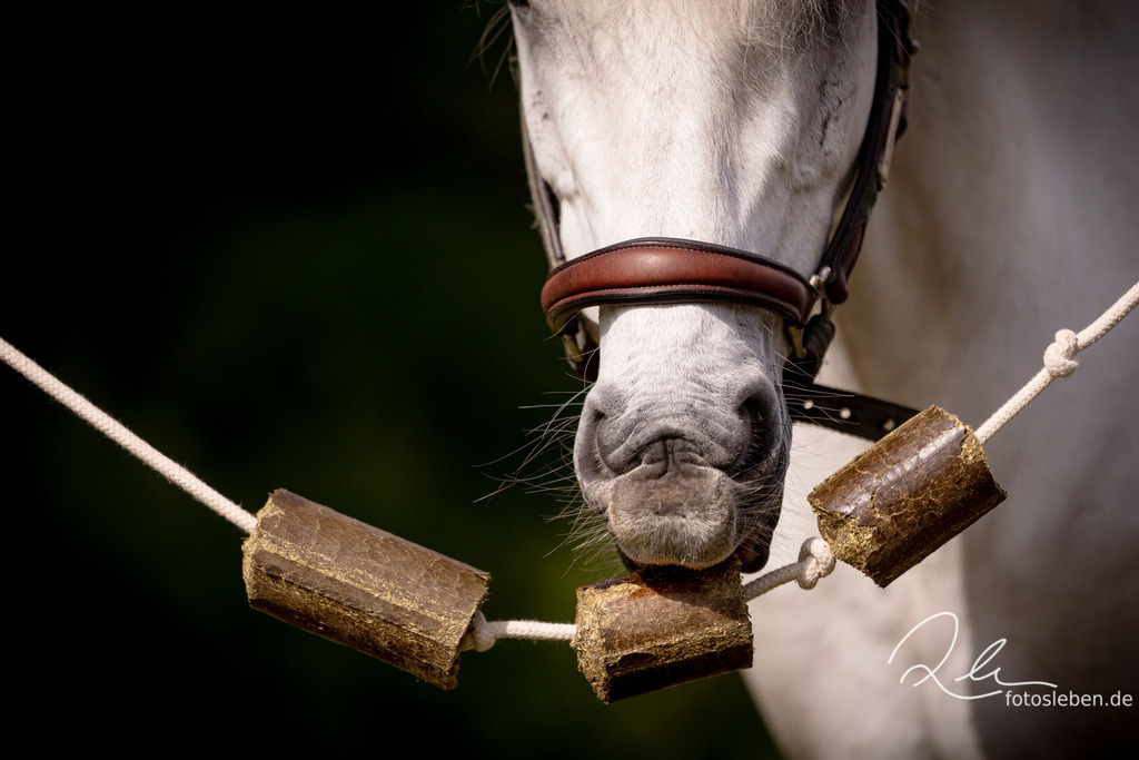 846A2791 | fotosleben - Realisiert mit Pictrs.com