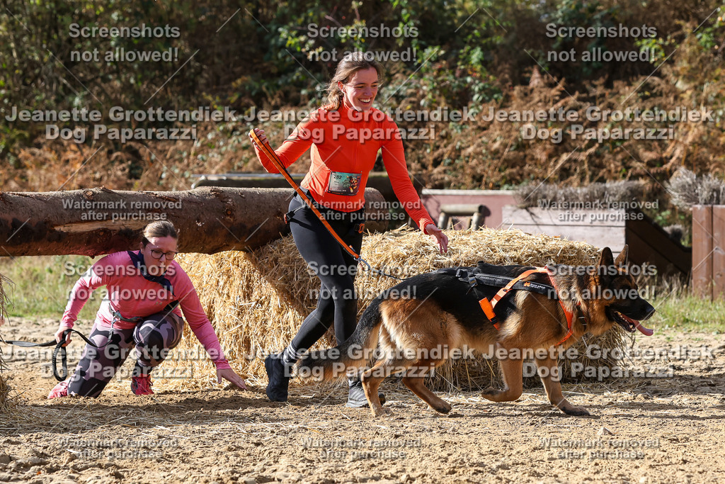 Dog Paparazzi - Strongdog 10-25-5527 | Dog Paparazzi Jeanette Grottendiek Fotografie & Videografie - Realisiert mit Pictrs.com