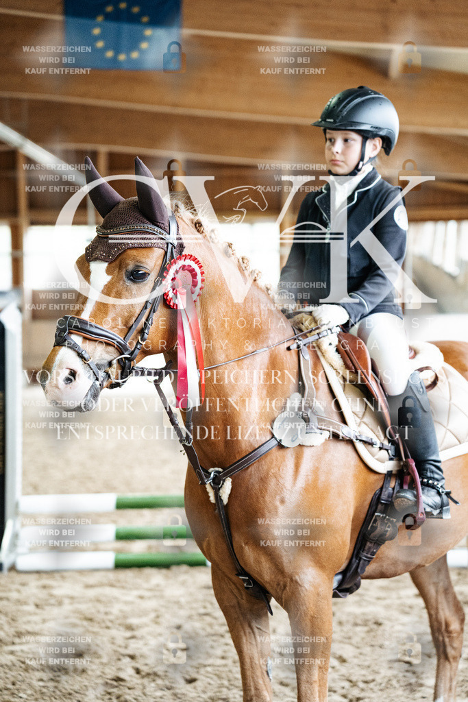 CK703443 | Turnierfotografie Pferdefotografie Trier Rheinland-Pfalz Pferdesport Reitsport Tierfotografie Sportfotografie Pferdevideo Pferdevideografie Equestrianvideography equestrianphotography  - Realized with Pictrs.com