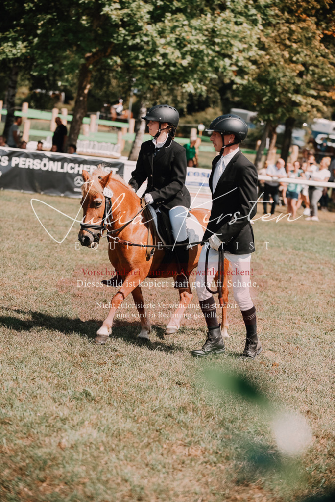 DSC_6026 | Pferde- und Turnierfotografie in Westsachsen. Pferdeportraits, Auftragszeichnungen und intuitive Kunst.