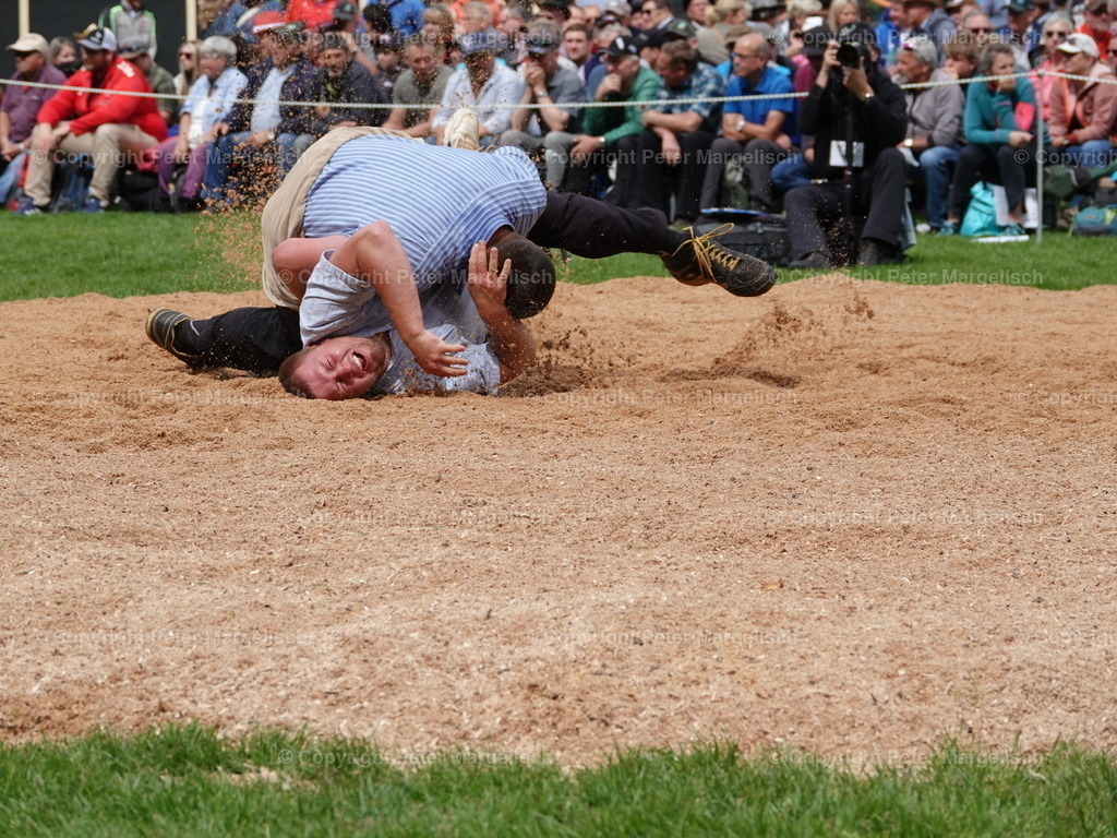 DSC07148 | Schwingen - Realisiert mit Pictrs.com