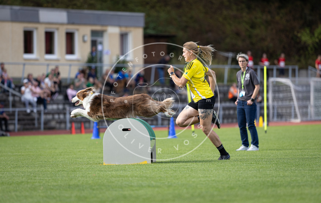 Pfotenfotografie_DV3A1601 | Hundefotografie, Tierfotograf, Pfotenfotografie, Fotoshooting Hund, Hunde Portrait, Hundesport, Hundeportraits, Heideshooting, Hunde, Sportfotograf, Hundefotograf, Turnierhundsport, THS,  - Realisiert mit Pictrs.com