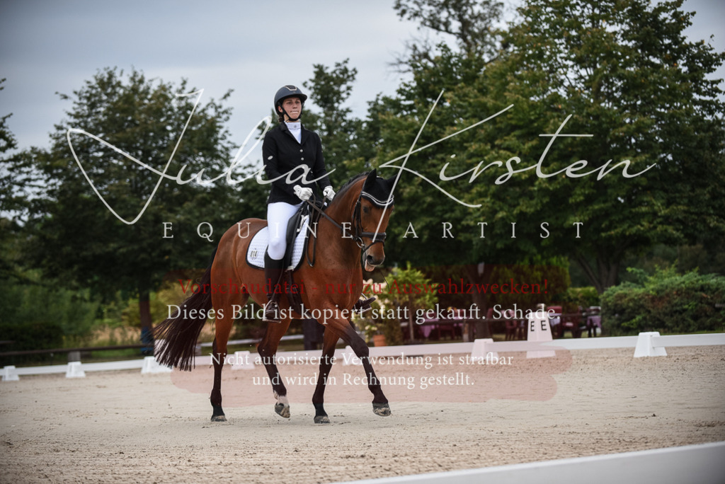 DSC_7949 | Pferde- und Turnierfotografie in Westsachsen. Pferdeportraits, Auftragszeichnungen und intuitive Kunst.