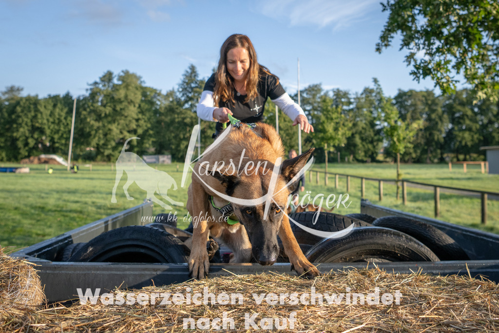 0810_ZZ90523 | kk-dogfotos