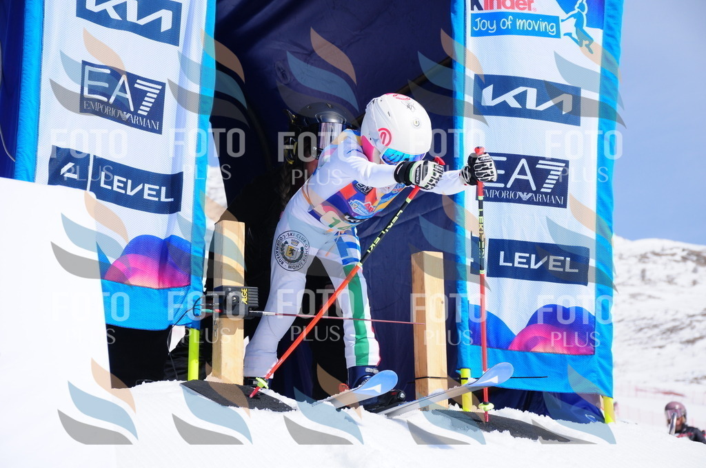 DSC_1212 | holidayphoto