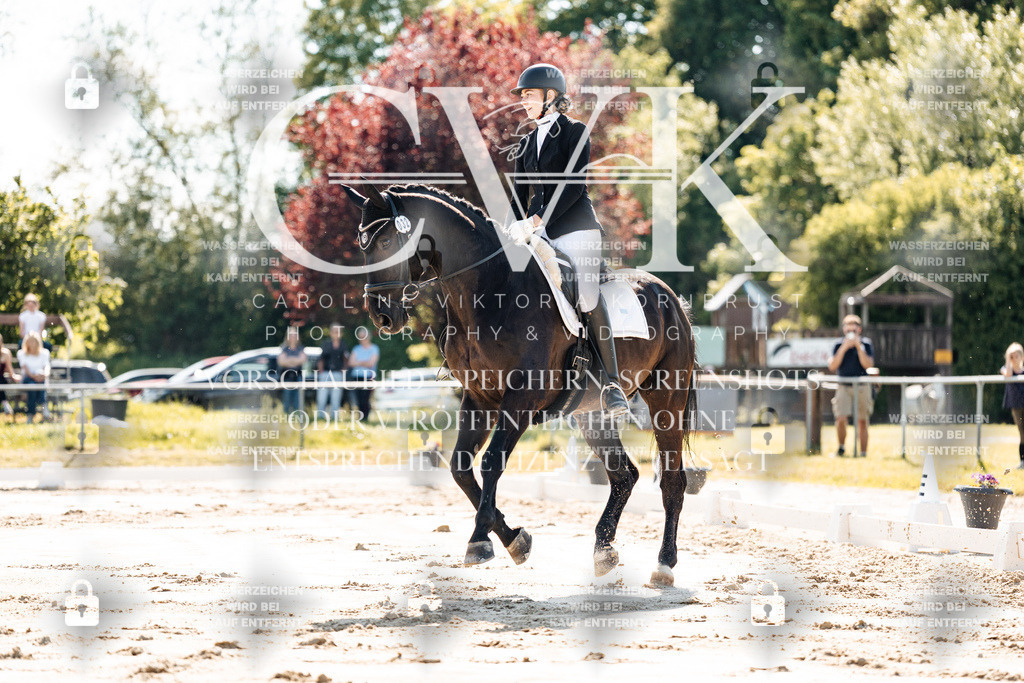 CK909289 | Turnierfotografie Pferdefotografie Trier Rheinland-Pfalz Pferdesport Reitsport Tierfotografie Sportfotografie Pferdevideo Pferdevideografie Equestrianvideography equestrianphotography  - Realisiert mit Pictrs.com