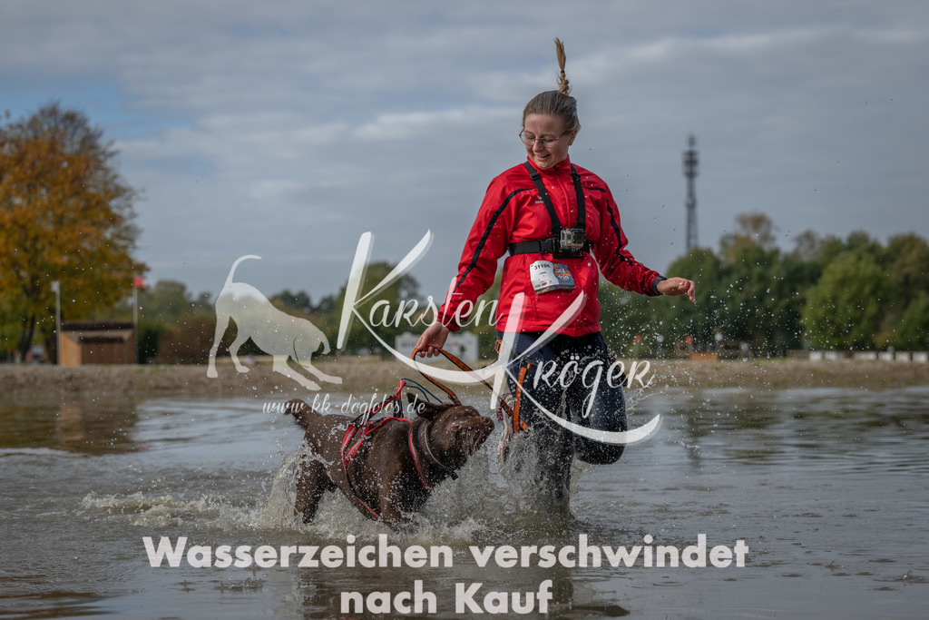 1222_ZZ91610 | kk-dogfotos