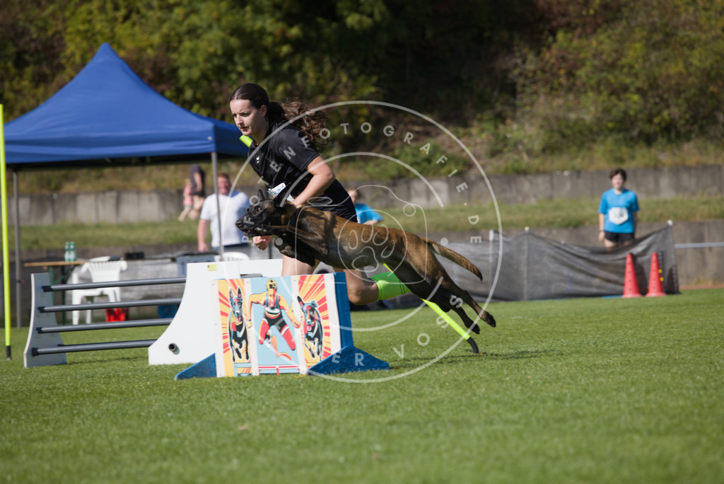 0L8A7500 | Hundefotografie, Tierfotograf, Pfotenfotografie, Fotoshooting Hund, Hunde Portrait, Hundesport, Hundeportraits, Heideshooting, Hunde, Sportfotograf, Hundefotograf, Turnierhundsport, THS,  - Realisiert mit Pictrs.com