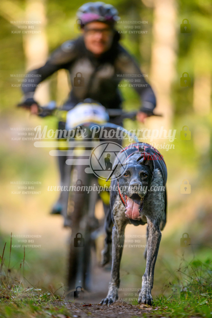 MompixPhotography_Yens2025_B3-56 | PayLife